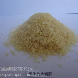 胶片明胶