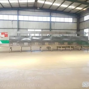 河南微波多层隧道炉五谷杂粮烘烤设备厂家