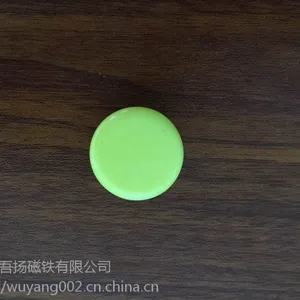 厂家现货供应D20mm新型平面办公白板磁 圆形***书画磁铁强磁图钉