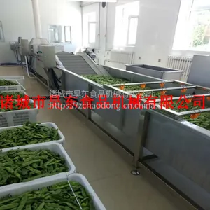 无损伤羊奶子清洗机 诸城昊东羊奶子清洗流水线厂家