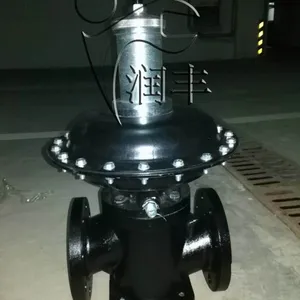 临湘市A型燃气调压器沼气减压器润丰