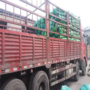 ������ ���������� ���������