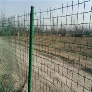 �ȶ�п��˿������ ������˿������һ�׼�Ǯ �ȶ�п��ר�ó���