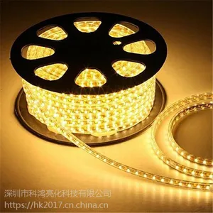 科鸿客厅led灯带5050高亮七彩遥控变色RGB软灯条220V彩色吊顶防水高压灯带