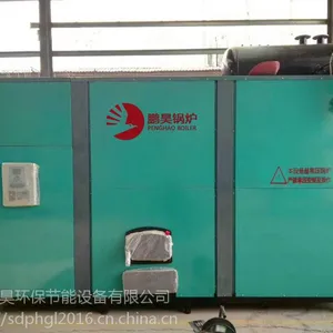 金针菇海鲜菇种植加工专用高效蒸汽环保锅炉