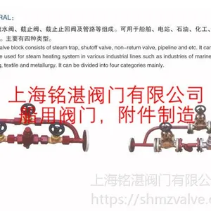 铭湛船用蒸汽疏水阀组