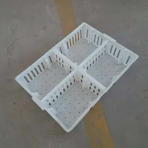 透气塑料鸭苗箱 不变形小鸭运输笼 鸭苗箱分格