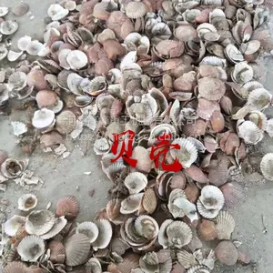 贝壳磨粉机|贝壳雷蒙磨粉机|贝壳磨粉机价格
