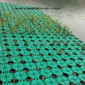 生态浮床水生植物浮岛生物浮岛浮床承接工程净化河道
