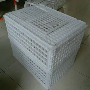拉鹅塑料笼 成鸡周转筐 青年鸡笼批发厂家