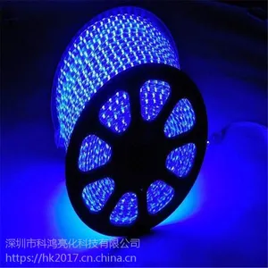 科鸿彩色跑马灯带led七彩变色220V室外防水室内高压超亮ktv户外闪光