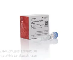 Lipofectamine? 2000 Transfection Reagent(转染试剂)