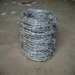����˿ ��˿���� ��Ƭ������