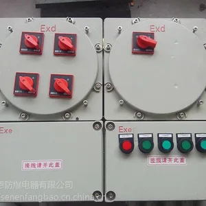 森恩防爆挂墙式防爆照明配电箱BXM(D)
