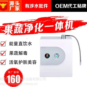 菲丽特净水设备厂家直销水果蔬菜解毒消毒净化家用多功能洗菜一体机臭氧活氧机