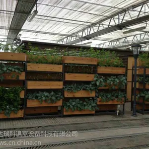 玻璃温室 热镀锌钢材 山东豪达瑞科智能连栋玻璃温室大棚造价
