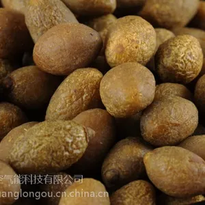 龙优橄榄烘干机设备 海南橄榄烘干机