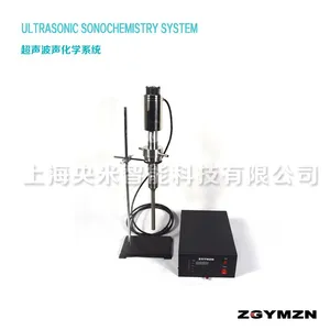 超声波声化学处理系统 实验室生物化学处理 超声波声化学处理设备