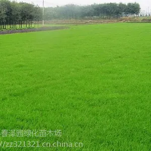������ƺ���� ����� ���ڰ�ϲ�� ������ ����é Ұţ�� �ͺ��ͺ��ͼ�̤�Ļ��¸߶���ר�õر�����