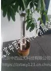 ����������ʪ�Ȳ�����/������ʪ�Ȳ�����(3·�¶�3·ʪ��)�����ģ���ţ�M263978
