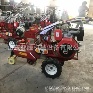 ������¢������С���ڹ��� �����ֲ��������ݮ��¢������ֱ��