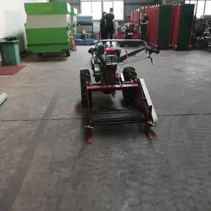 �������ջ���۸� �������ջ��е ʥ̩�������ջ���۸�