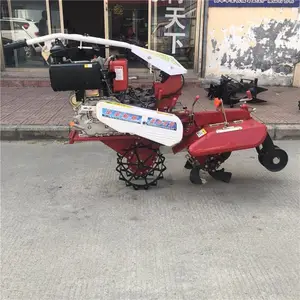 ũ���￪�������� �����������