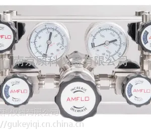 amflo敦阳PS210双侧特气控制面板
