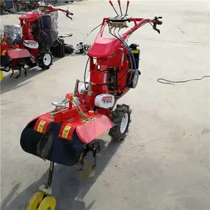 �๦��ʩ�ʿ����� ʥ³�߲˴���������¢�� ����ʽ���������