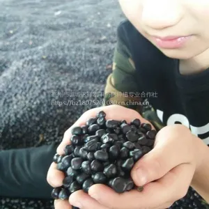 ��������һĶ����Ҫ���ٽ�