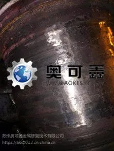 奥可鑫修复