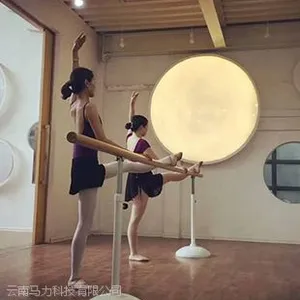 �����赸�Ѹ˳���ֱ��
