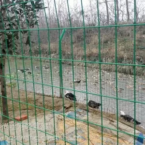 博达丝网厂家供应各种铁丝网 电焊网 电焊网片规格 电焊网片隔离栅