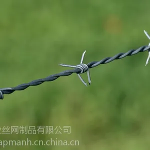 ����ҵ�������Ĵ�����������޼������Ǯһ�ף�����޼����������˿���̹� ������������