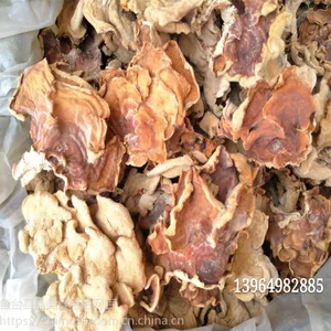 榆耳大量出货中-榆耳基地出售干榆耳-一级榆耳批发零售