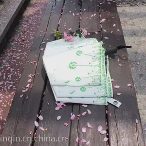 ����ɡ�ǳ��ҳ��ڴ�����Ӧ ����ɡ ����ɡ�� ���ż��� һ������