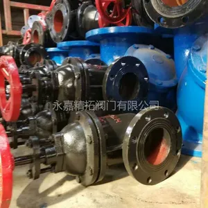 Z45T-10 ��ˮբ�� DN50 DN65 Шʽ��������բ�� �㽭���ط���