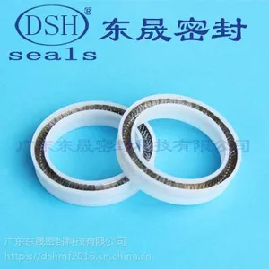 厂家直销 支撑环密封件 DST 导向带厂家