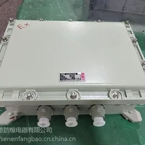 森恩BJX防爆接线箱订做厂家