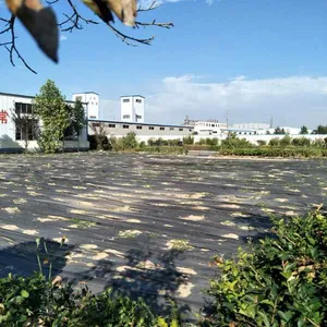 广西火龙果防草布 除草布供货商 防草膜厂家