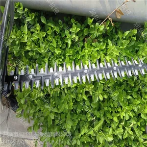 ���� ���� ���� �̰� ���� ��ޱ �̻��޼��� �󻪳��������޼���