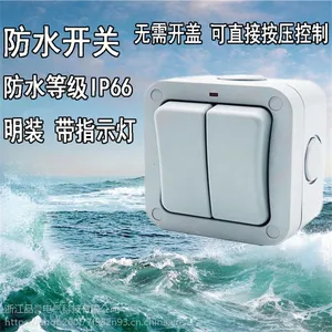 户内外防水开关双开室外花园浴室工地IP66单双控带指示灯明装防雨