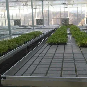 潮汐苗床的最新报价 潮汐式灌溉移动苗床设计安装