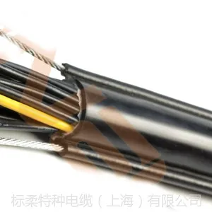 PENDANT CABLE电动葫芦电缆lift-2s