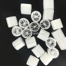 ʳƷ��HDPE�������������� ����������ˮ����MBBR���ϳ�����Ĥ������ˮ��ֺϸ�Ӧ��