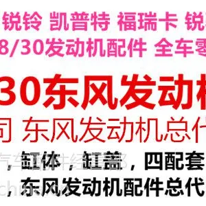 东风锐骐皮卡锐铃御风中缸突凸机总成NISSAN东风轻型发动机配件D22252830