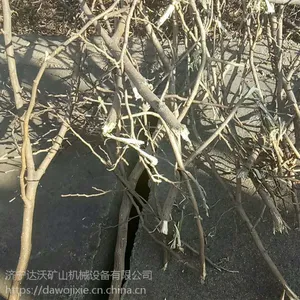 济宁达沃高速公路边坡绿篱修剪机