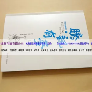 画册印刷说明书 企业宣传品 期刊 杂志 铜版纸书纸