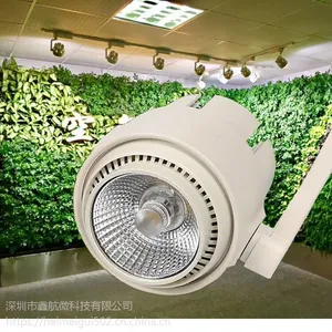 LEDֲ�ﲹ��ƹ��ʽ�����ֲǽ�����XIHV