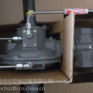 fisher��Ʒԭװ���ڵ�ѹ�� 299H/299HS���ж�